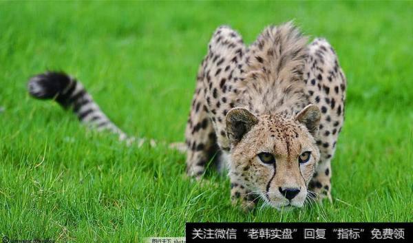 机构卖出“广电股”3700万，与猪肉荣<a href='//m.sasasearch.com/chaodi/'>抄底</a><a href='//m.sasasearch.com/scdx/283746.html'>康得新</a>