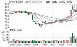 <em>创业环保</em>12月03日沪股通减持64.13万股