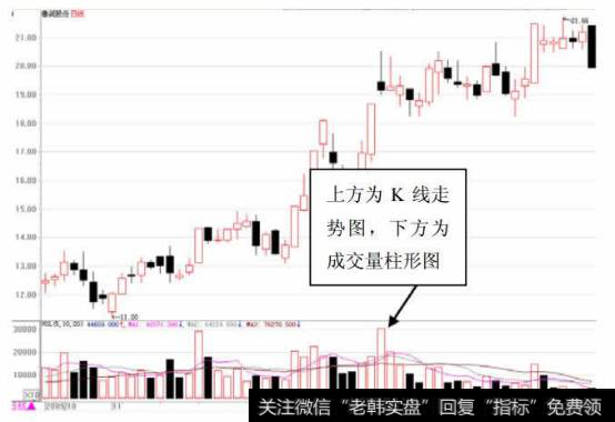 鲁润股份走势图