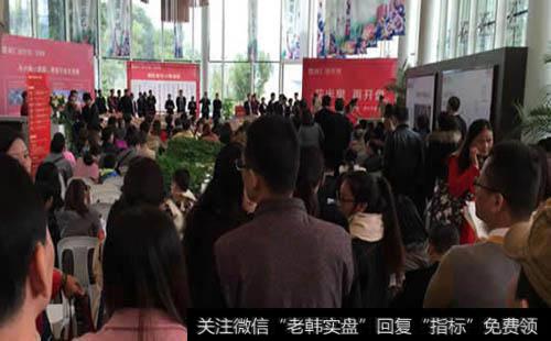 开盘30分钟内的市场表现有哪些?