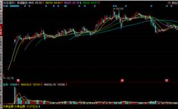 次新股开润股份，为何开板后就遭公募基金扎堆集体买入？