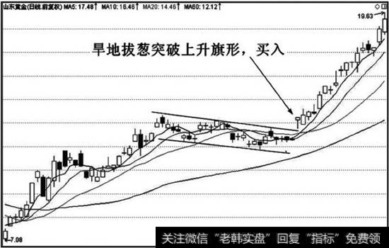 早地拔葱后市看涨，买入