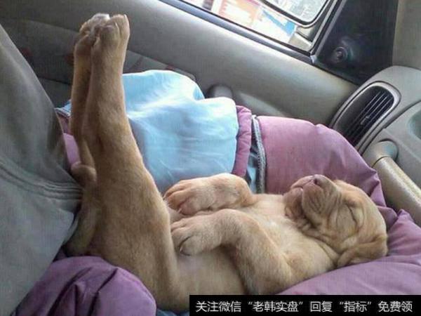 <a href='//m.sasasearch.com/rhbzdng/266772.html'>东方通</a>信短期翻倍，金田路上榜；目前是新龙头的时间窗口