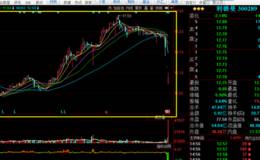 温州帮“闪崩”利德曼，散户：断头刀，别砍头了，已经只剩脚了