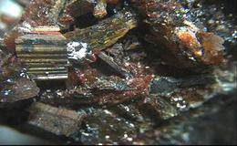 钨矿概念股受关注 钨精矿价格持续上涨