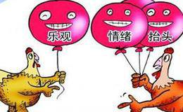 投资者应有什么样的思路？应具备哪些条件？