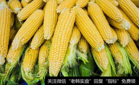 大商所推玉米“保险+期货”试点,玉米题材<a href='//m.sasasearch.com/gainiangu/'>概念股</a>可关注