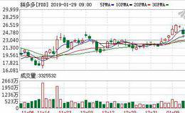 拼多多被薅羊毛一夜损失近千万 黑产活跃电商怎么防？