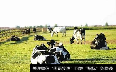 蒙牛与中鼎牧业携手,奶源基地题材<a href='//m.sasasearch.com/gainiangu/'>概念股</a>可关注