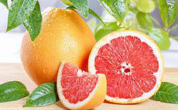 龙虎榜：电影股利多出尽，机构卖出；机构再度介入罗博特科