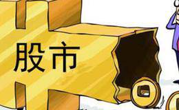 如何浏览年报?投资者如何找到有用的信息？