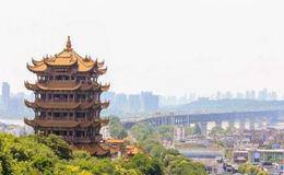 武汉举办首届世界大健康博览会,武汉健康题材概念股可关注