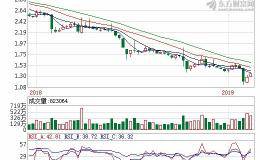 中国庞大汽贸集团不敌车市寒冬 去年大亏逾60亿 债息爆延期支付