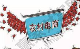 去年全国网上零售额超九万亿 农村电商迅猛发展