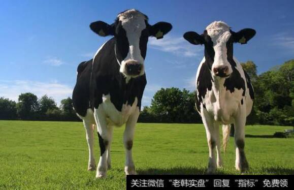 叶檀<a href='//m.sasasearch.com/caijunyi/290233.html'>股市</a>消息：二师兄已经上天 下一个轮到奶牛花花