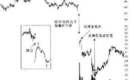 如何在突发事件时依然获利：死猫反弹