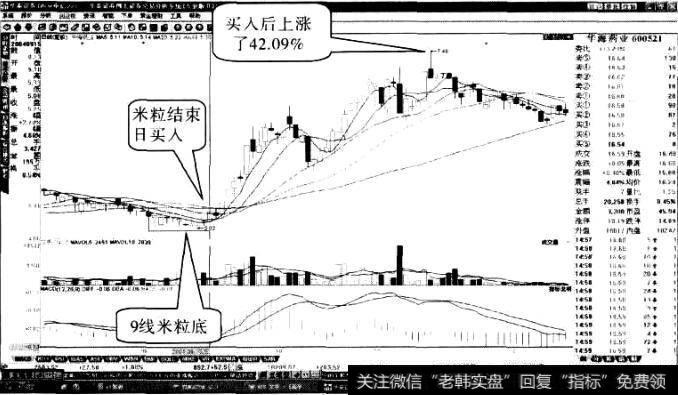华海药业“米粒底”形态1