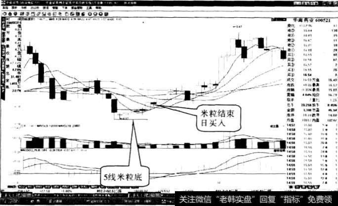 华海药业“米粒底”形态2