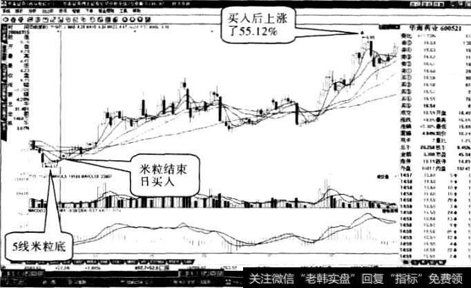华海药业“米粒底”形态3