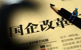 王会生：混合所有制改革中要建立有制衡的法人治理结构