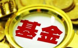 基金的业绩表现是一个存在争议的话题