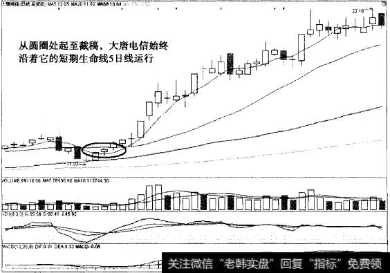 以5日线为生命线的实战案例之大唐电信