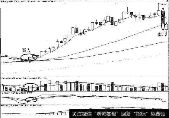 以5日线为生命线短期暴涨的实战经典案例之德美化工