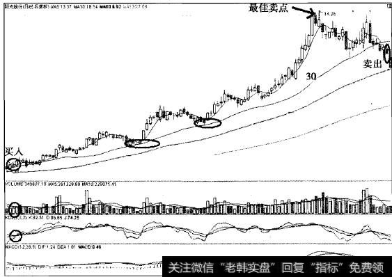 阳光股份以30日线为生命线中线翻3倍的传奇案例