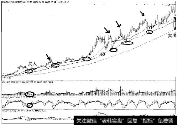 振华科技以60日线为生命线中线翻4倍的传奇案例