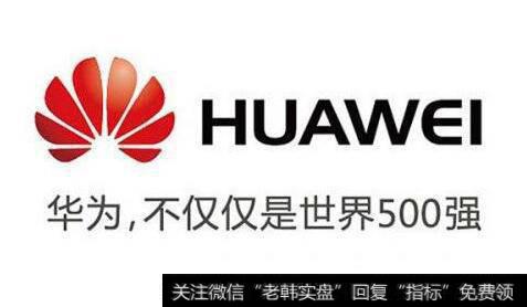 叶檀最新消息:就佩服华为这样的公司!