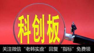 深耕投贷联动 银行也要拥抱科创板 访上海华瑞银行行长朱韬