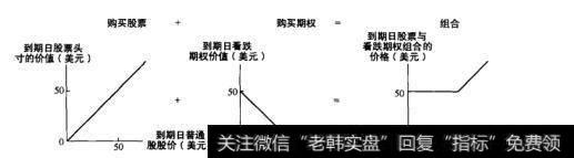 图22-4 同时购买看跌期权与股票的组合的收益