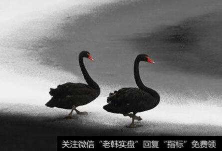 郭施亮股市点评：从<a href='//m.sasasearch.com/gushiyaowen/288397.html'>视觉中国</a>到<a href='//m.sasasearch.com/guoshiliang/180746.html'>新大洲A</a> 股市黑天鹅频现给投资者带来什么警示？