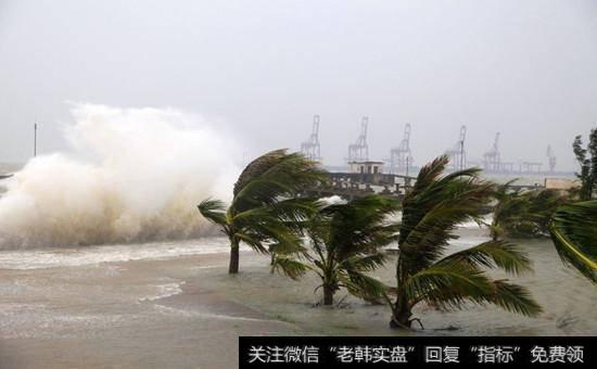 <a href='//m.sasasearch.com/redianticai/15136.html'>台风概念股</a>
