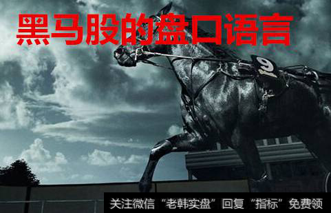黑马股的<a href='//m.sasasearch.com/cgjq/283257.html'>盘口语</a>言
