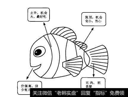 怎么理解鱼肉股市而不是被股市鱼肉？为什么说鱼肉股市而不是被股市鱼肉？