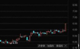 【价值百万的炒股纪律】为什么要不盲从分析师？