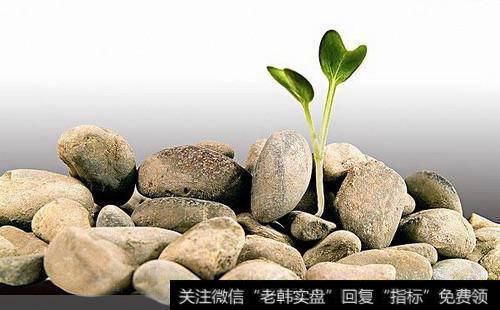 针对不同<a href='//m.sasasearch.com/gptz/'>股票投资</a>者如何灵活运用区别对待？（案例分析）