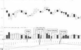 MACD指标的特点是什么 它由什么来判断