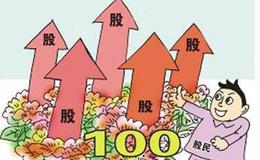 什么是“炒大市的庄家”、“炒个股的庄家”？它们有什么特点？