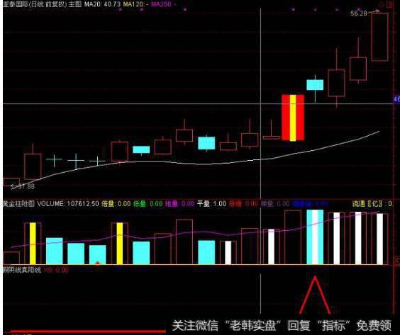 大智慧好用黑马指标