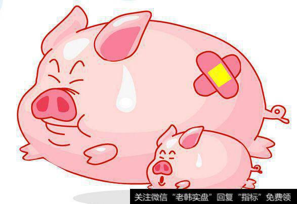 指导畜禽养殖场安全生产