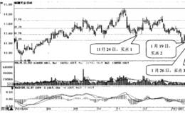如何选择在黄金分割线获得支撑的股票
