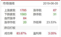 <em>涨停板复盘</em>：利好无影响，情绪以致冰点2019.6.5