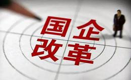 推动混合所有制经济规范可持续发展