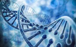 我国将加快基因编辑立法工作,基因编辑题材概念股可关注