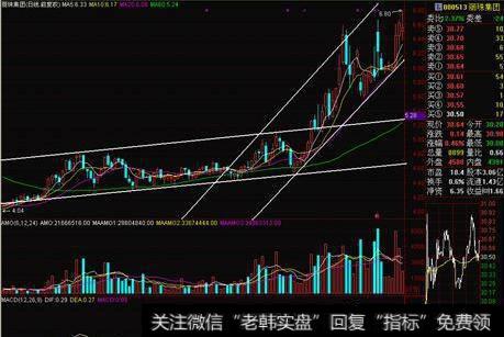大智慧<a href='//m.sasasearch.com/gushiyaowen/287546.html'>主力资金</a>动向指标