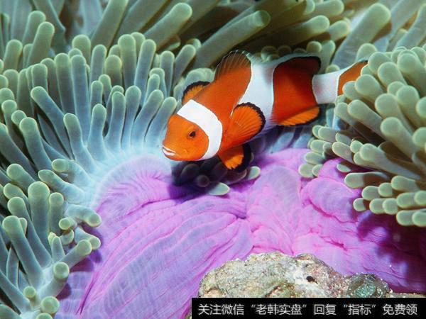 佛山<a href='//m.sasasearch.com/chaodi/'>抄底</a>2.2亿氢能源个股；<a href='//m.sasasearch.com/longhubang/200925.html'>同益股份</a>值得关注