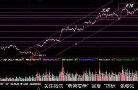 利用艾略特<a href='//m.sasasearch.com/bolanglilun/'>波浪理论</a>进行交易