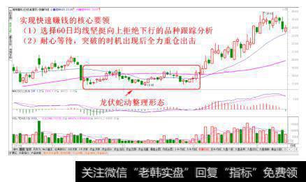 龙伏蛇动经典走势